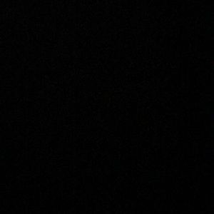 Meet your Posher, Perla